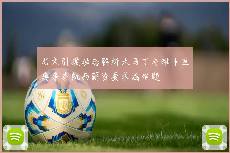 尤文引援动态解析大马丁与维卡里奥争夺凯西薪资要求成难题